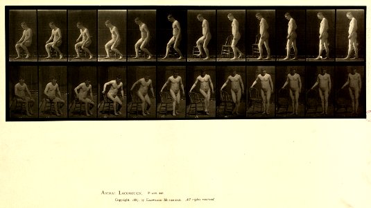 Animal locomotion. Plate 236 (Boston Public Library)