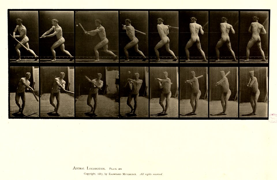 Animal locomotion. Plate 278 (Boston Public Library)