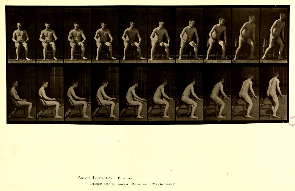 Animal locomotion. Plate 249 (Boston Public Library)