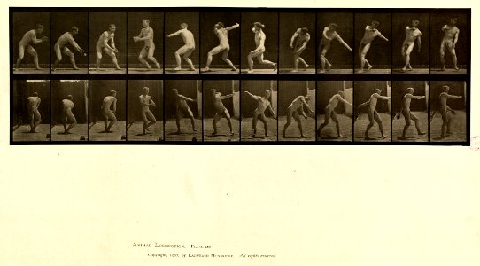 Animal locomotion. Plate 284 (Boston Public Library)