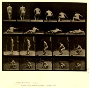 Animal locomotion. Plate 257 (Boston Public Library)
