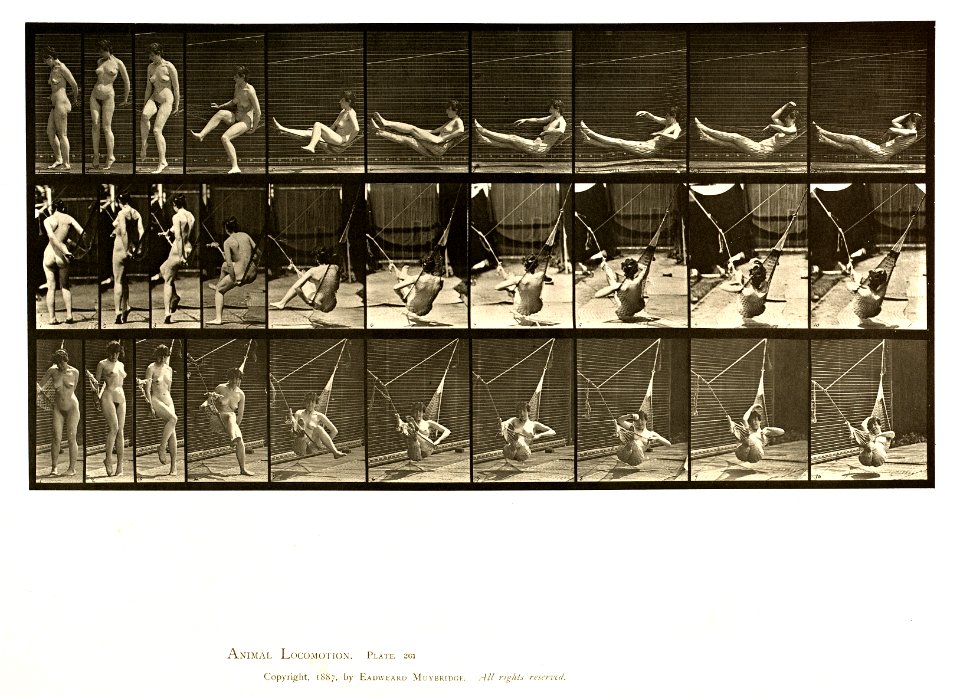 Animal locomotion. Plate 261 (Boston Public Library)