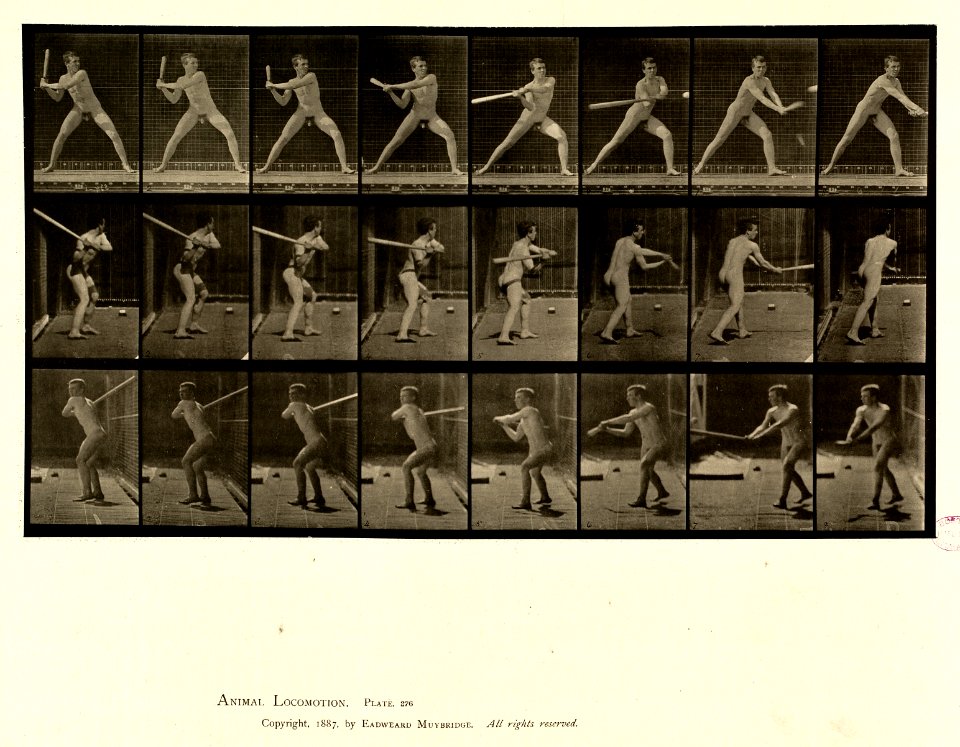 Animal locomotion. Plate 276 (Boston Public Library)