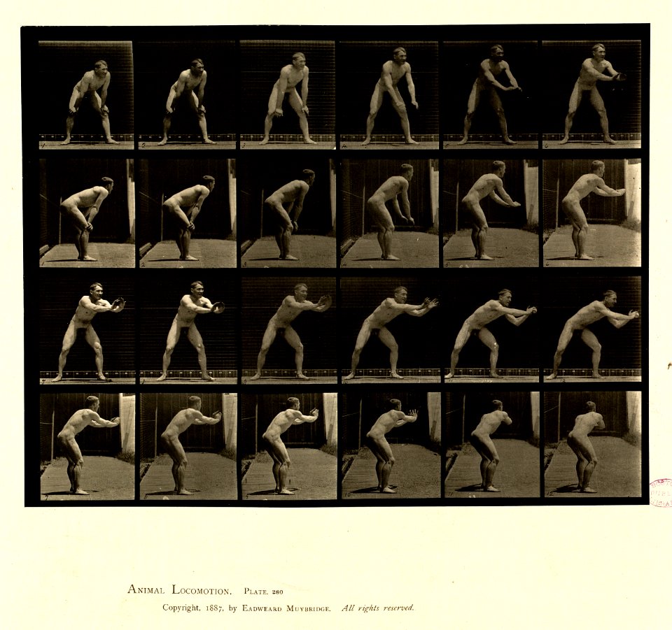 Animal locomotion. Plate 280 (Boston Public Library)