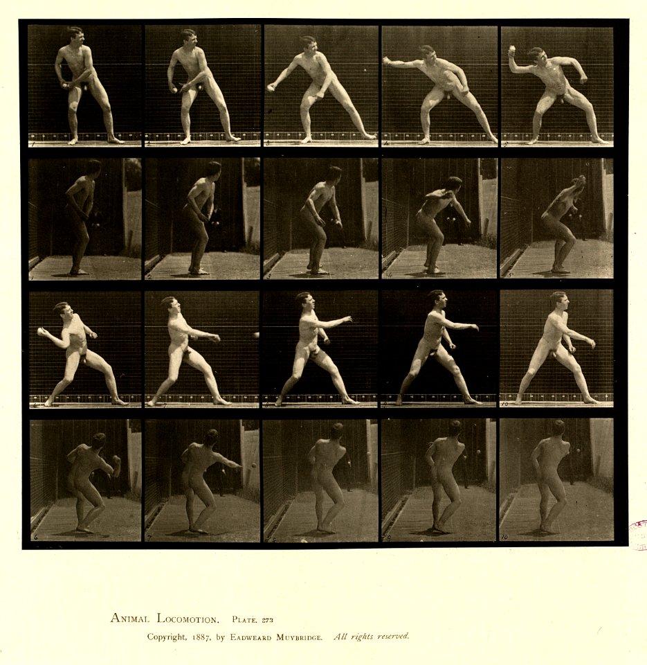 Animal locomotion. Plate 273 (Boston Public Library)