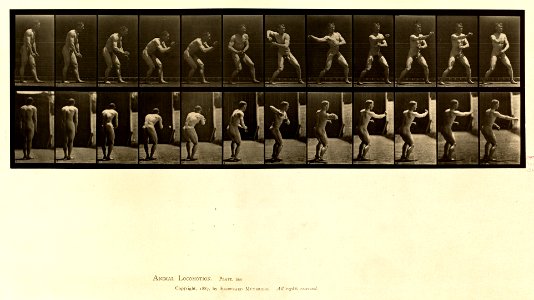 Animal locomotion. Plate 285 (Boston Public Library)