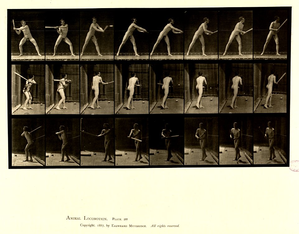 Animal locomotion. Plate 277 (Boston Public Library)
