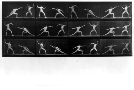 Animal Locomotion. Plate 349 LCCN2005683600