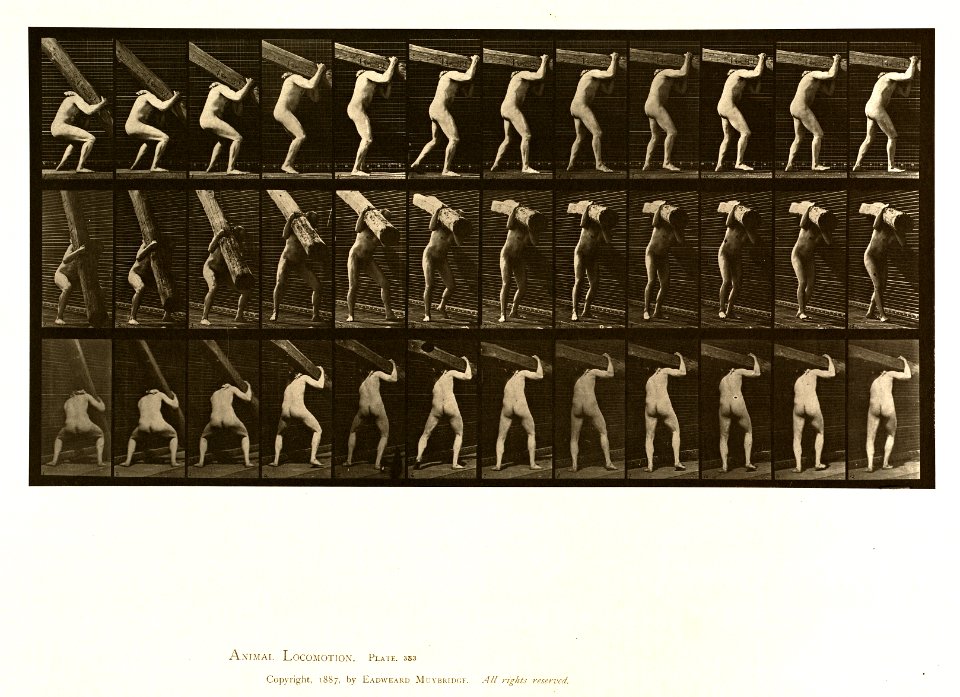 Animal locomotion. Plate 383 (Boston Public Library)