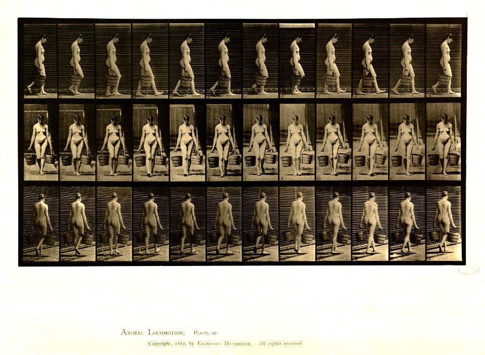 Animal locomotion. Plate 32 (Boston Public Library)