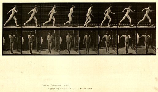 Animal locomotion. Plate 4 (Boston Public Library)