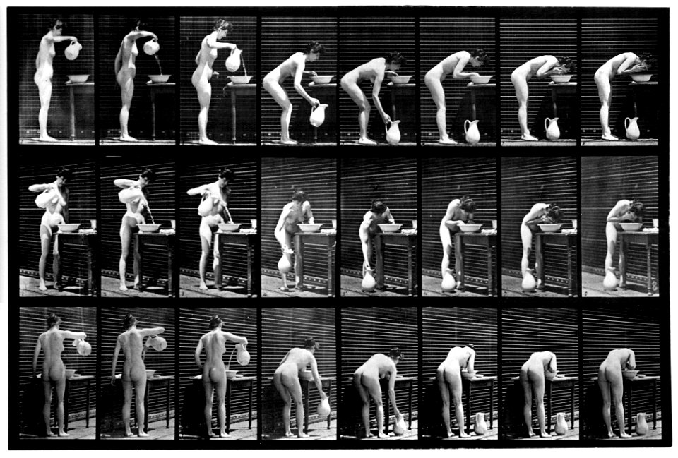 Animal locomotion. Plate 413 (Boston Public Library) (Black and white, cropped)