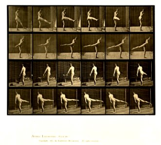 Animal locomotion. Plate 370 (Boston Public Library)