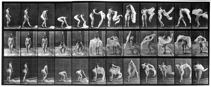 Animal locomotion. Plate 419 (Boston Public Library) (black and white, cropped)