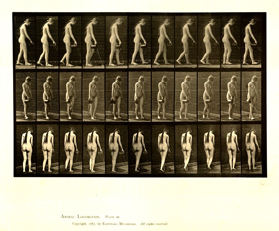 Animal locomotion. Plate 42 (Boston Public Library)