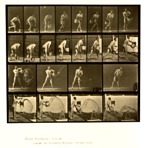 Animal locomotion. Plate 400 (Boston Public Library)