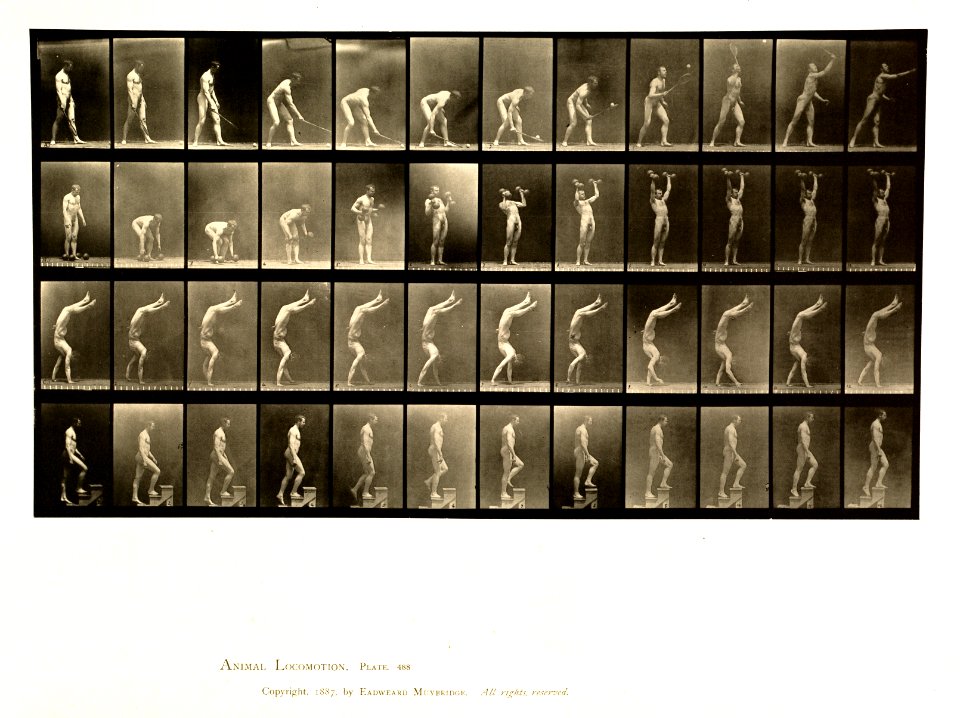 Animal locomotion. Plate 488 (Boston Public Library)