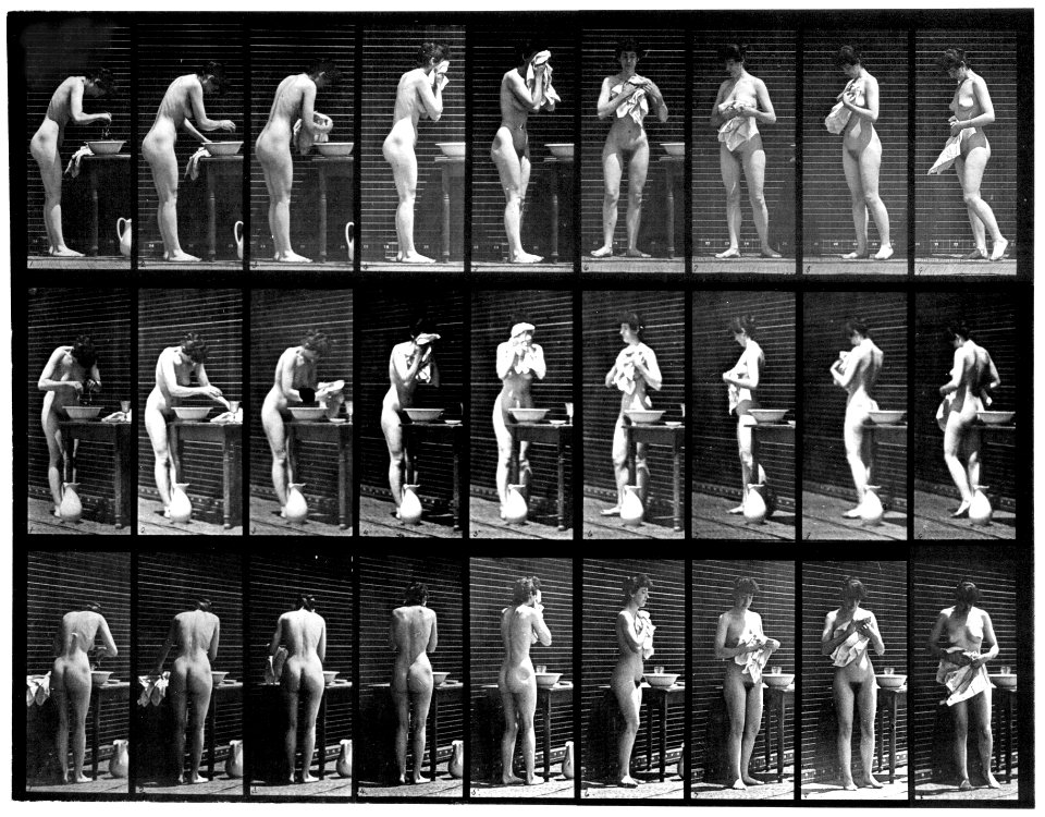 Animal locomotion. Plate 412 (Boston Public Library) (black and white, cropped)