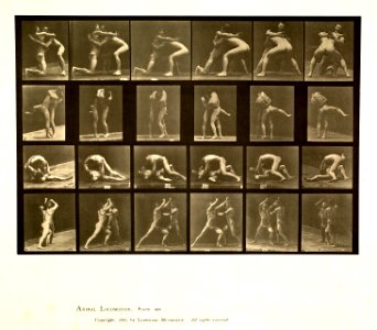 Animal locomotion. Plate 520 (Boston Public Library)