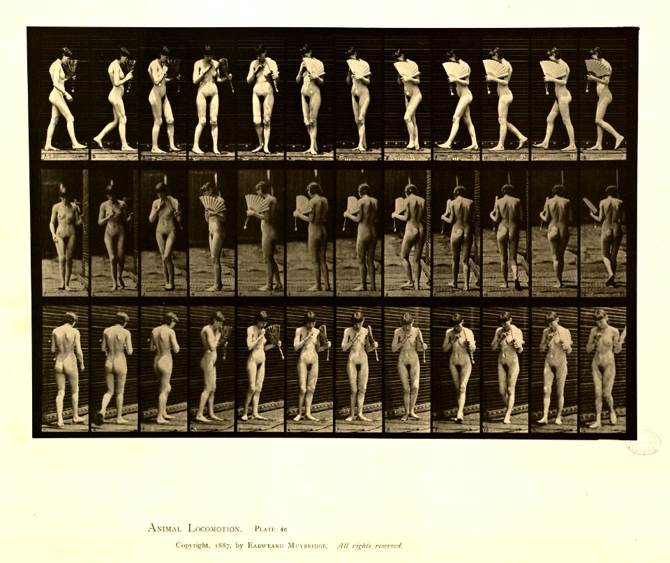 Animal locomotion. Plate 46 (Boston Public Library)