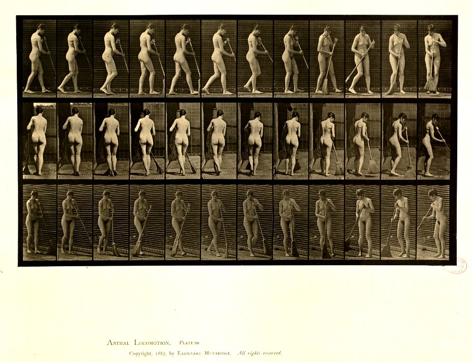 Animal locomotion. Plate 58 (Boston Public Library)