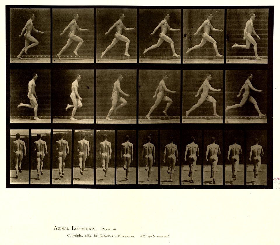 Animal locomotion. Plate 64 (Boston Public Library)