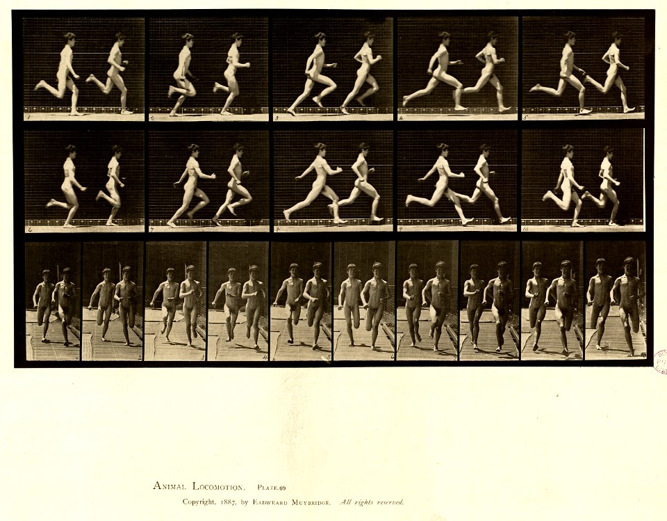 Animal locomotion. Plate 69 (Boston Public Library)