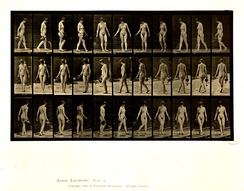 Animal locomotion. Plate 51 (Boston Public Library)