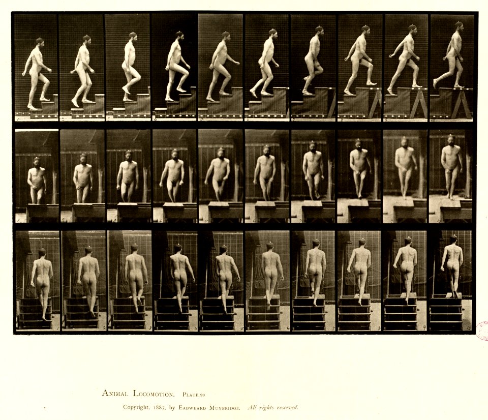 Animal locomotion. Plate 90 (Boston Public Library)
