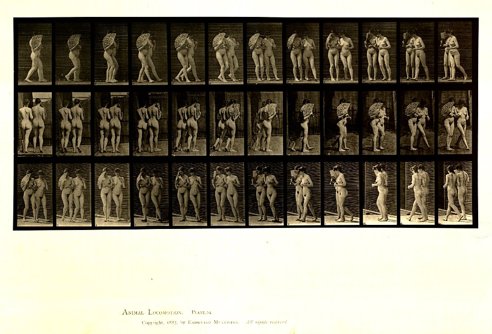 Animal locomotion. Plate 54 (Boston Public Library)