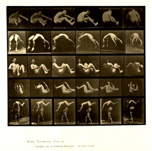 Animal locomotion. Plate 522 (Boston Public Library)