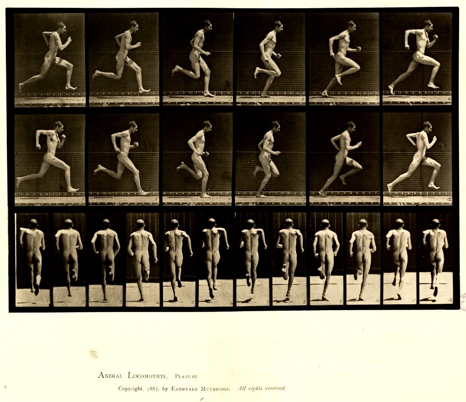 Animal locomotion. Plate 62 (Boston Public Library)