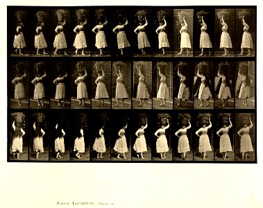 Animal locomotion. Plate 57 (Boston Public Library)