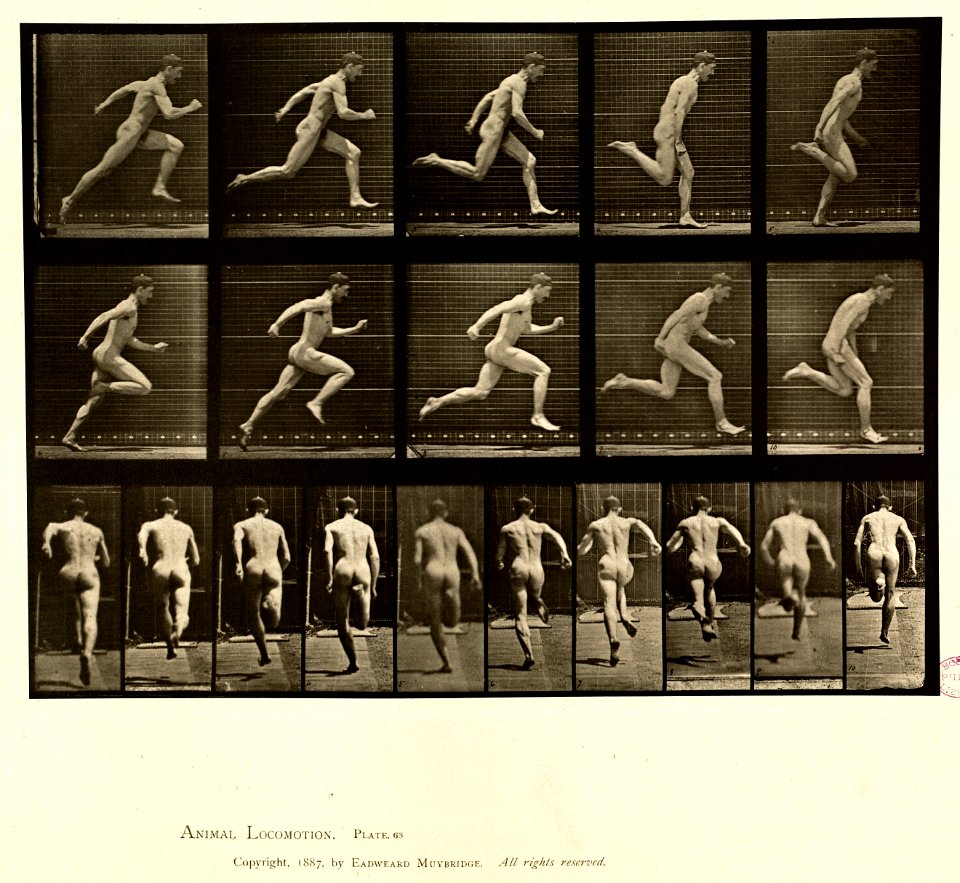 Animal locomotion. Plate 63 (Boston Public Library)