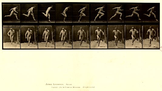 Animal locomotion. Plate 68 (Boston Public Library)