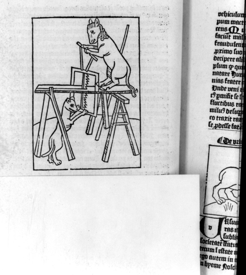 Animals sawing wooden planks LCCN2005692109