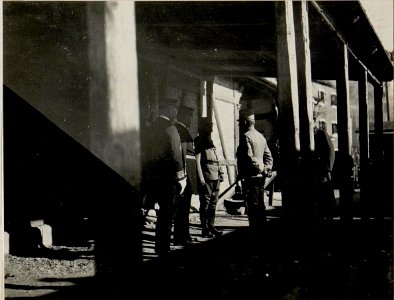 Ankunft in Castelnuovo und Bergrüssung durch das Kriegshafenkommando. Aufgenommen am 12. Februar 1916 in Castelnuovo. (BildID 15532444)