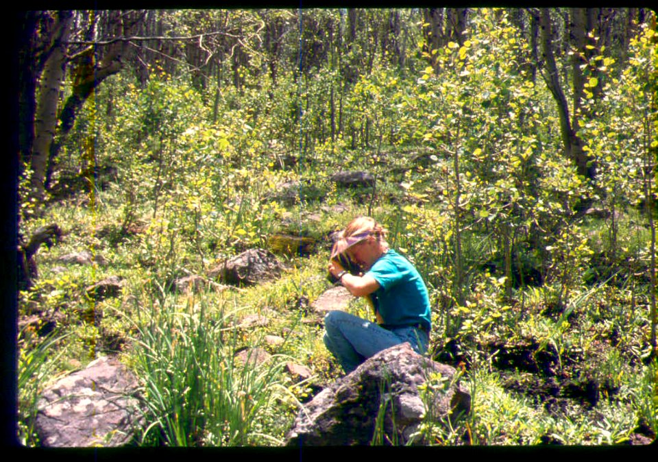 Ann DeBolt at a rare plant site- Phacelia minutissima in SW Idaho