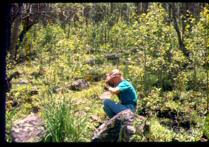 Ann DeBolt at a rare plant site- Phacelia minutissima in SW Idaho