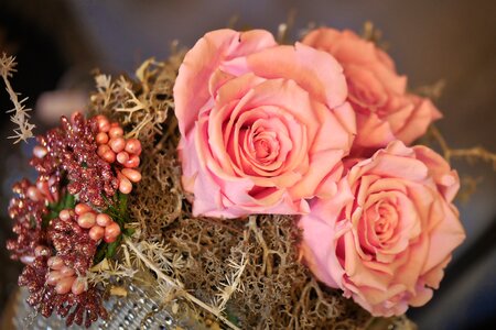 Bouquet petal arrangement photo
