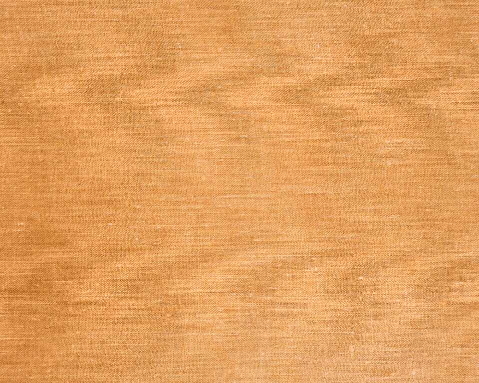 Background fabric beige