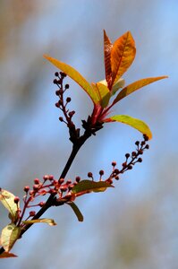 Branch spring move your body
