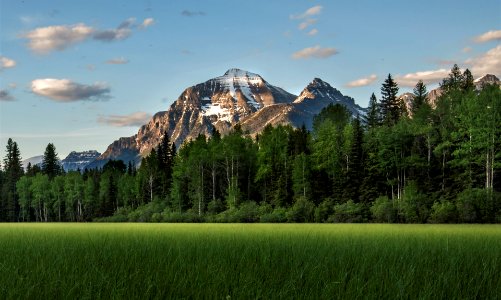 Bowman Lake - Mosquito View