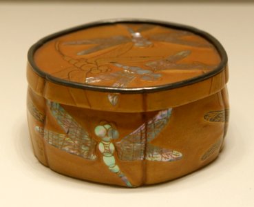 Box dragonflies Guimet MG9740