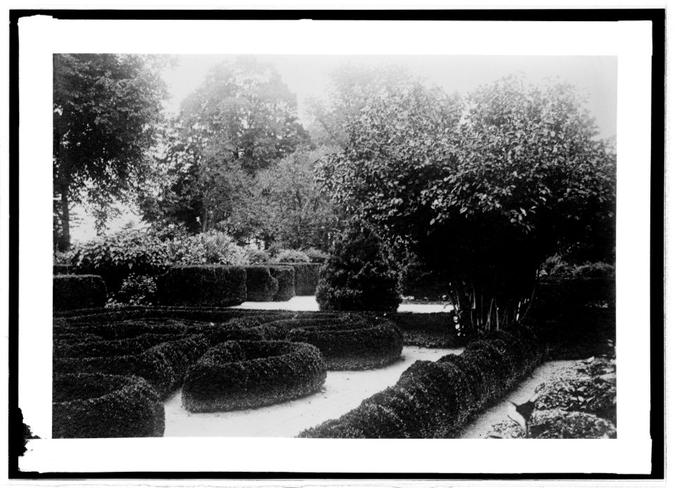 Box Hedges, Mt. Vernon LCCN2016820859