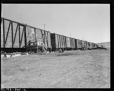 Box car homes for miners. This is part of company housing project. Union Pacific Coal Company, Reliance Mine... - NARA - 540578 photo