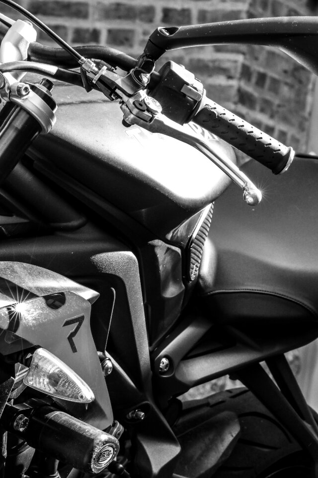 Bike transport gray bike
