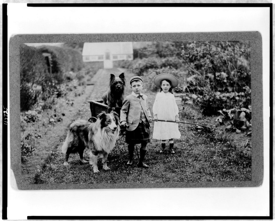 Boy and girl with two dogs and a wagon LCCN98506844