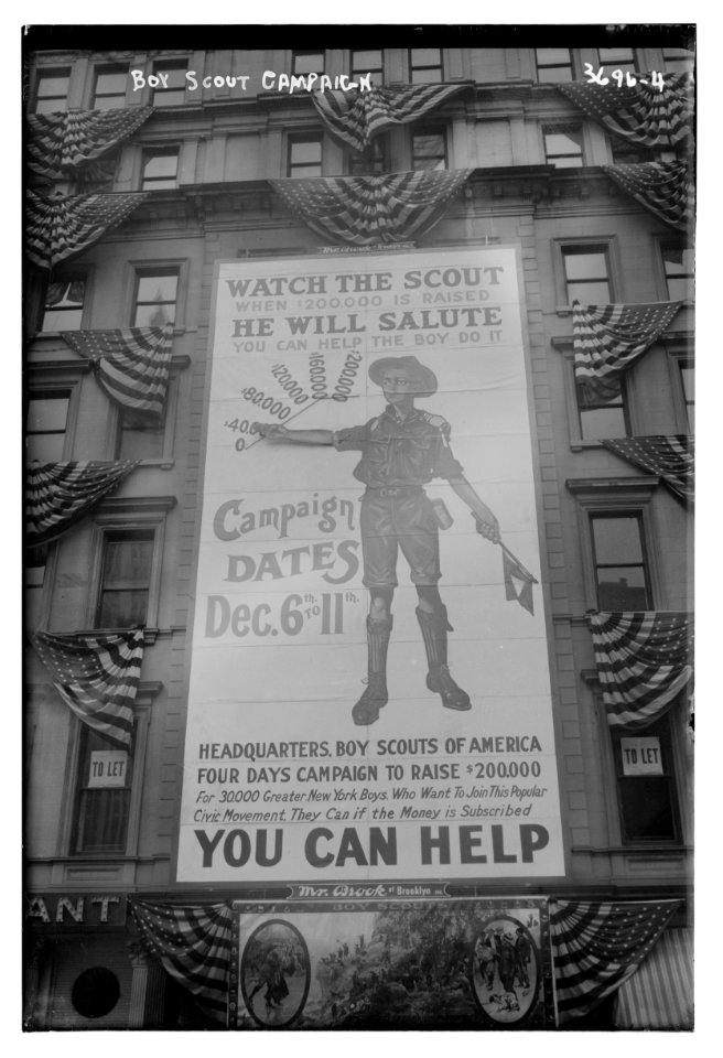 Boy Scout Campaign LCCN2014700524