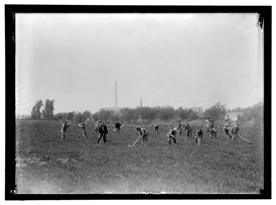 BOY SCOUTS GARDENING IN POTOMAC PARK LCCN2016867730